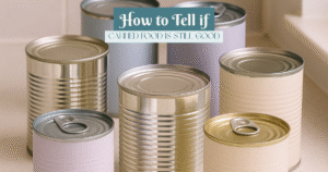 Group of assorted canned foods with pastel-colored labels on a kitchen counter, representing pantry storage and long-term food safety.